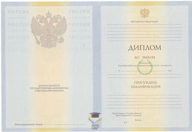 Диплом СПбГУП 2010-2011 годов